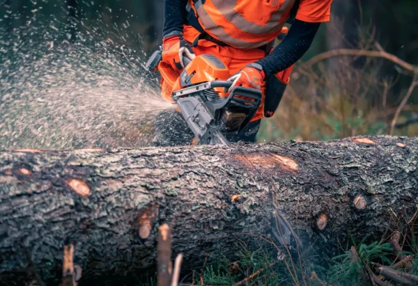Husqvarna Chainsaw 592XP 92.7cc 7.6hp 28" X-Tough Lite - Image 2