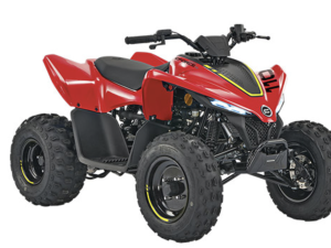 CFMOTO YOUTH CFORCE 110/ 2023 MODEL